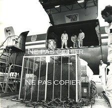 Chargement d'un ÉLÉPHANT par