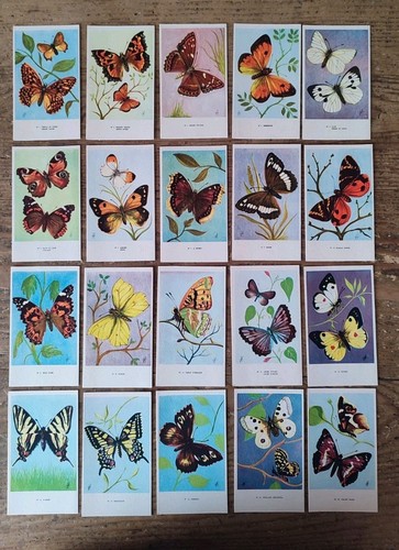 Lot grandes images école - grandes,