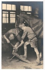 14/905 Photo Métier Maréchal