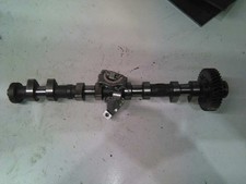 ARBRE À CAMES / 672564 POUR