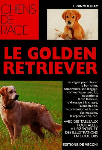 Golden retriever louise - le,
