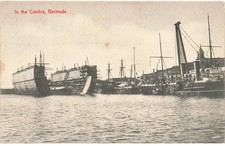 Antilles - BERMUDES - Bermuda - In the Cambre