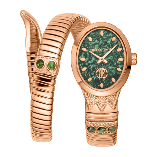 Montre roberto cavalli - montre,