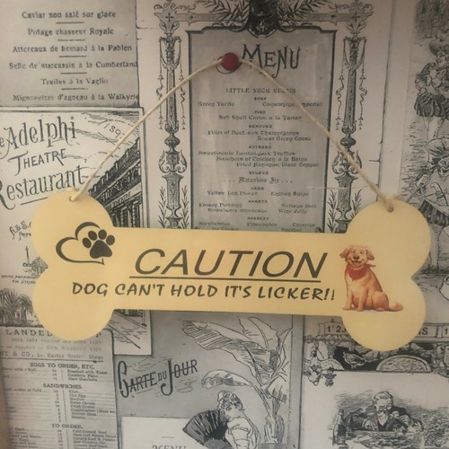 Cute bone shaped - , hanging