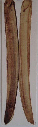 Debré olivier lithographie - olivier,