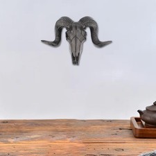 Tête de crâne de mouton