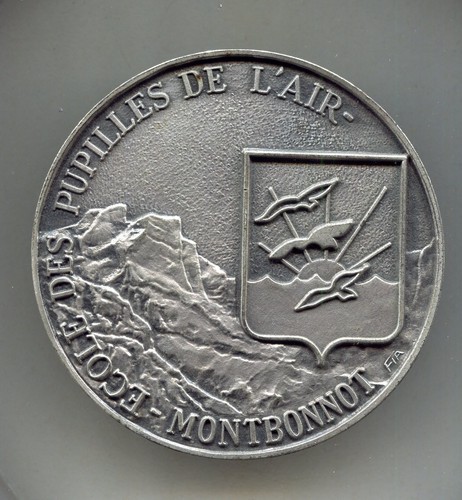 Médaille bronze argenté - médaille,