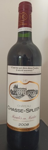 Château chasse spleen 2008 - château,