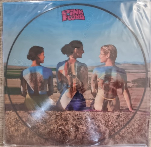 Pink floyd picture disc - floyd-, disc/