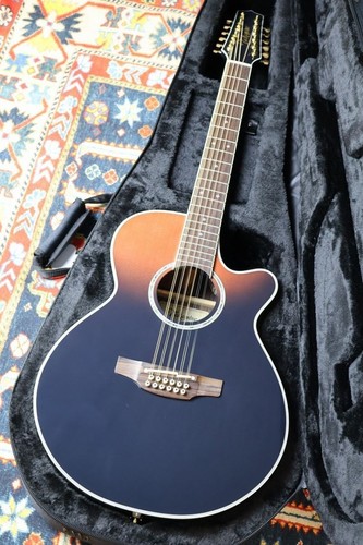 Takamine custom model - model, ctm