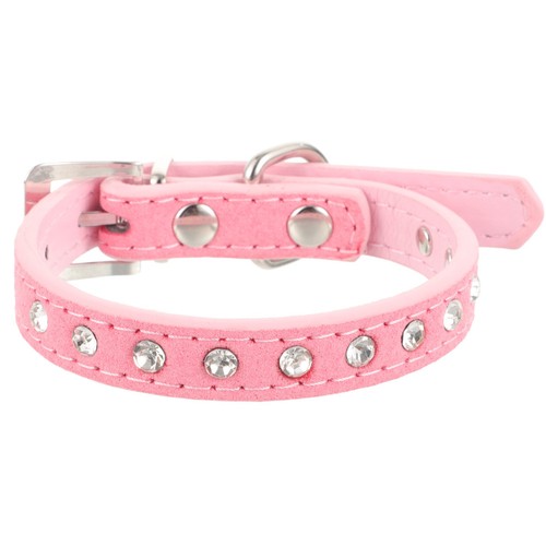 Laisse collier chien pour - collier,