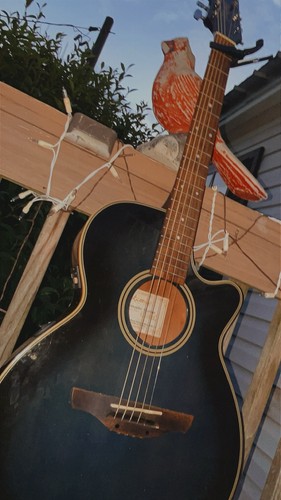 Takamine eg568c series - g,
