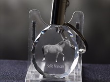 Cheval De Selle Français