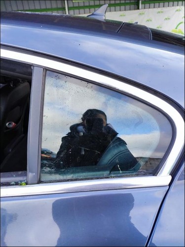 Custode arriere gauche - , (porte)
