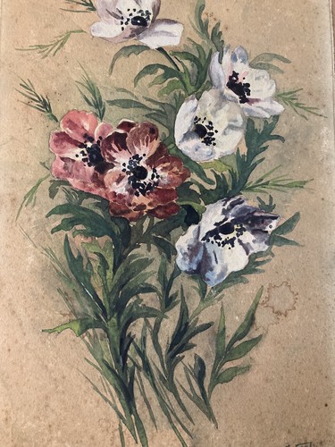 Beau dessin aquarelle gouache - dessin,