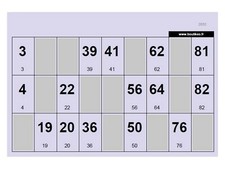 Lot de 250 Cartons de Loto Standard – Bristol 160g – 148x105mm – Lilas