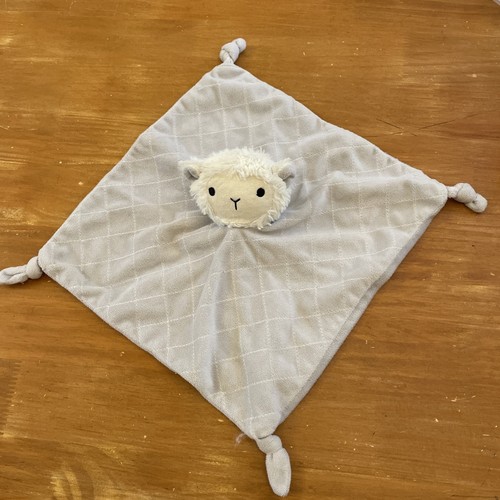 Doudou plat mouton shenzhen - doudou,