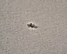 AXE BALANCIER MONTRE IWC 41