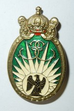INSIGNE 13° REGIMENT DE DRAGONS PARACHUTISTES - Drago