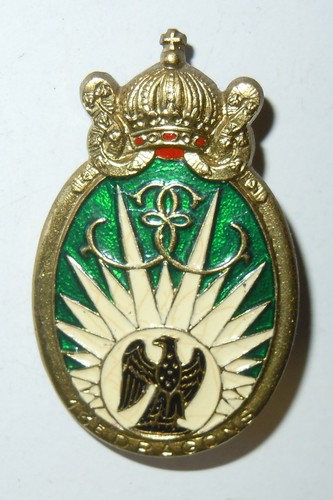 Insigne regiment de - insigne, 13°