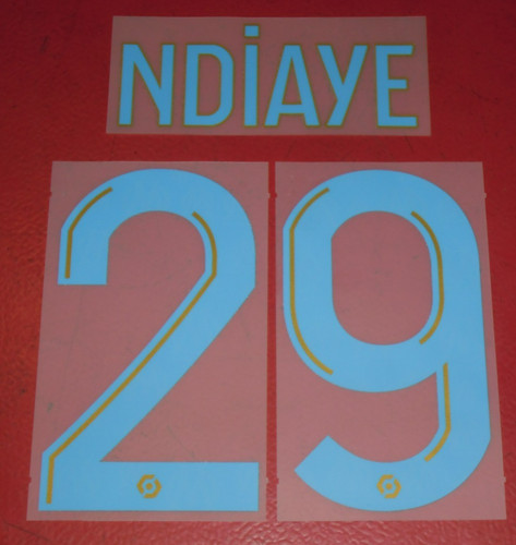 Flocage officiel ndiaye 29 - flocage, n°29