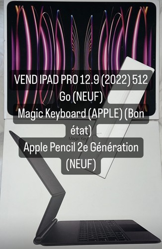 Ipad pro 2022 - 2022, go