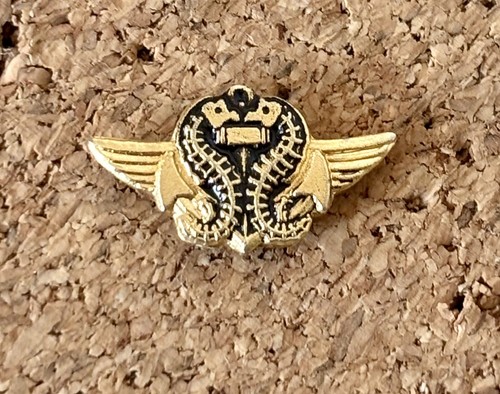 Pin ancien brevet - pin's, nageur