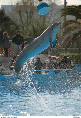 Carte postale animaux - -,