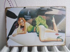 TOLE METAL PIN UP AVION 20 X