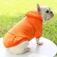 Sweat capuche chien style - sweat,