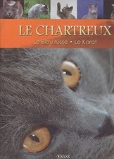 Le monde secret des chats : Le