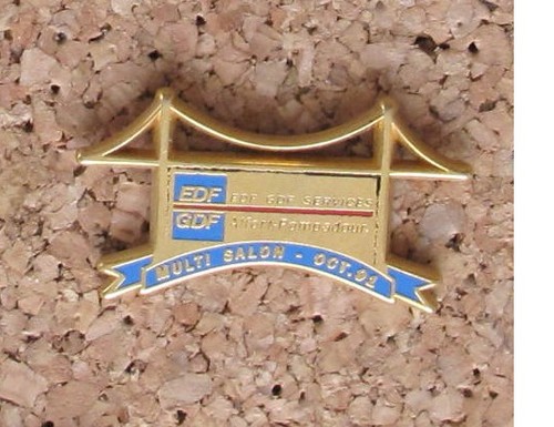 Pin edf gdf services - pin's,