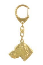 Vizsla, Braque hongrois à