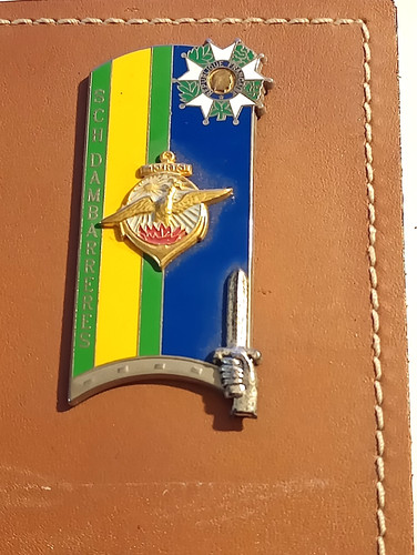 Insigne pucelle militaire - pucelle, sur