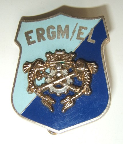 Insigne etablissement - insigne,
