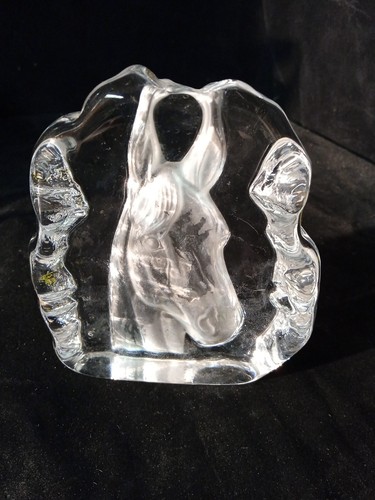 Tête cheval verre - en,