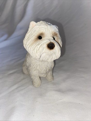 West highland white terrier - white,