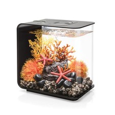 Create a Modern Aquatic