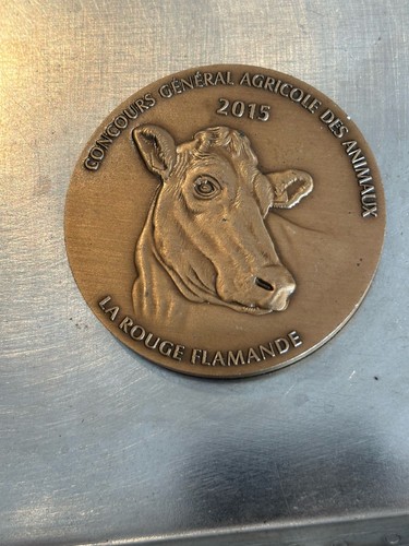 Médaille bronze concours - médaille,