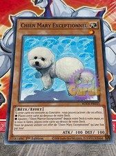 Carte Yu Gi Oh CHIEN MARY EXCEPTIONNEL BODE-FR035 x 3