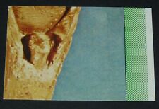 #55 COUPE DU MONDE CUP