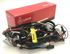 Lucas Faisceau Principal &