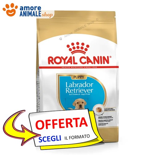 Royal canin chien puppy - chien,