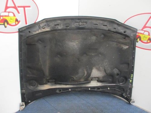 Capot volkswagen golf - volkswagen,