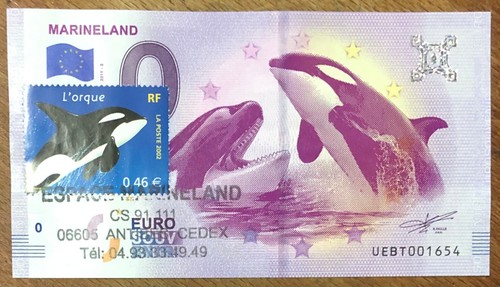 2019 marineland orques - orques, +