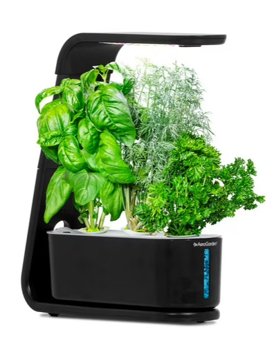 Aerogarden sprout black - aerogarden,