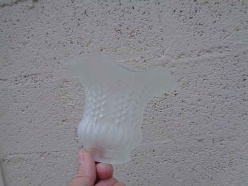Tulipe verre pour lampe ou - tulipe, en