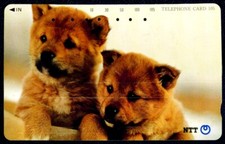 Carte Téléphonique