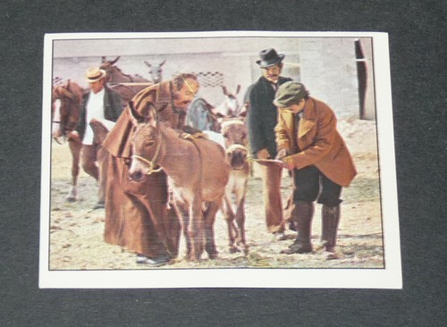 306 film les aventures - aventures, de