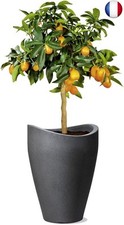 54265 254/40 Wave Globe High Pot de Fleurs Plastique Noir 30 x 30 x 40 cm